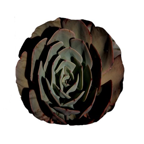 Succulent Green Pink Rosettes Standard 15  Premium Round Cushions from ArtsNow.com Front