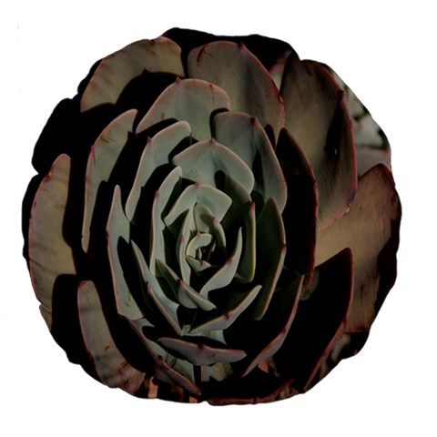 Succulent Green Pink Rosettes Large 18  Premium Round Cushions from ArtsNow.com Front