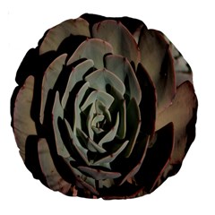 Succulent Green Pink Rosettes Large 18  Premium Round Cushions from ArtsNow.com Back