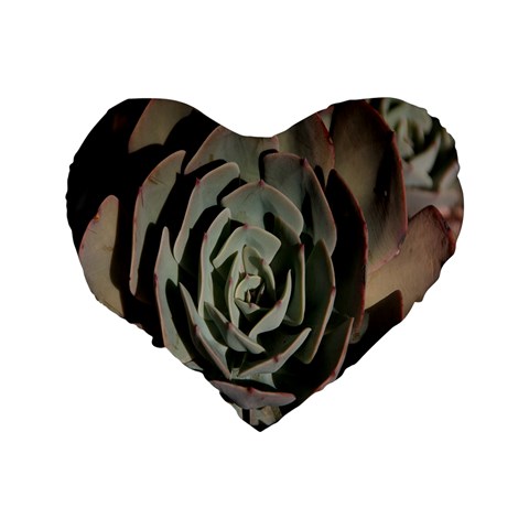 Succulent Green Pink Rosettes Standard 16  Premium Heart Shape Cushions from ArtsNow.com Back