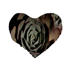 Succulent Green Pink Rosettes Standard 16  Premium Heart Shape Cushions from ArtsNow.com Back