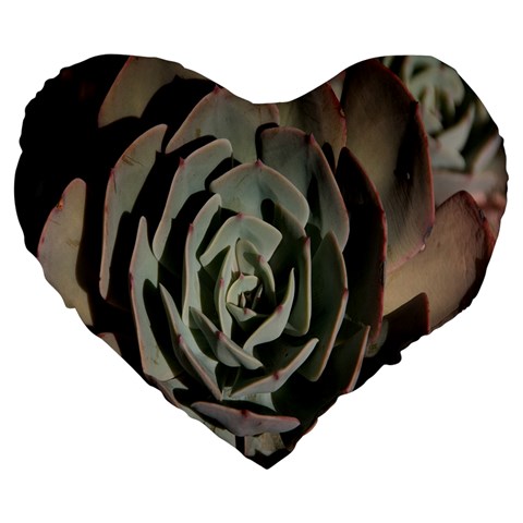 Succulent Green Pink Rosettes Large 19  Premium Heart Shape Cushions from ArtsNow.com Front