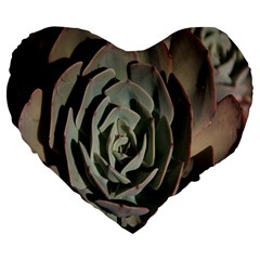 Succulent Green Pink Rosettes Large 19  Premium Heart Shape Cushions from ArtsNow.com Front