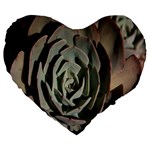 Succulent Green Pink Rosettes Large 19  Premium Heart Shape Cushions