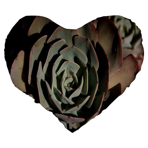 Succulent Green Pink Rosettes Large 19  Premium Heart Shape Cushions from ArtsNow.com Back