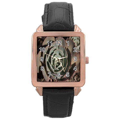 Succulent Green Pink Rosettes Rose Gold Leather Watch  from ArtsNow.com Front