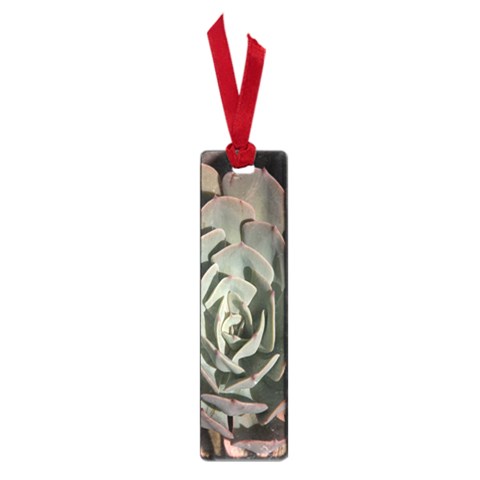 Succulent Green Pink Rosettes Small Book Marks from ArtsNow.com Front