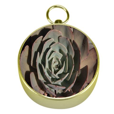 Succulent Green Pink Rosettes Gold Compasses from ArtsNow.com Front