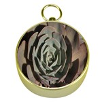 Succulent Green Pink Rosettes Gold Compasses