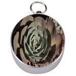 Succulent Green Pink Rosettes Silver Compasses