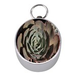 Succulent Green Pink Rosettes Mini Silver Compasses