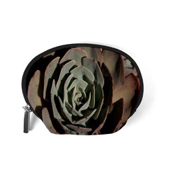 Succulent Green Pink Rosettes Accessory Pouches (Small)  from ArtsNow.com Back