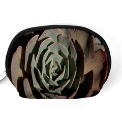 Succulent Green Pink Rosettes Accessory Pouches (Medium)  from ArtsNow.com Back