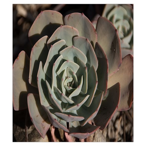 Succulent Green Pink Rosettes Drawstring Pouches (Small)  from ArtsNow.com Front