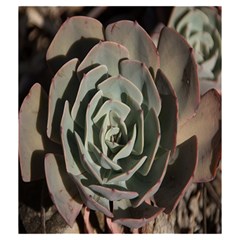 Succulent Green Pink Rosettes Drawstring Pouches (Medium)  from ArtsNow.com Back