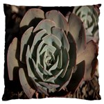 Succulent Green Pink Rosettes Standard Flano Cushion Case (Two Sides)