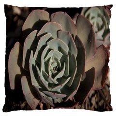 Succulent Green Pink Rosettes Standard Flano Cushion Case (Two Sides) from ArtsNow.com Back