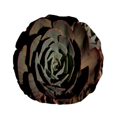 Succulent Green Pink Rosettes Standard 15  Premium Flano Round Cushions from ArtsNow.com Front