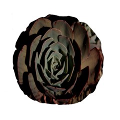 Succulent Green Pink Rosettes Standard 15  Premium Flano Round Cushions from ArtsNow.com Front