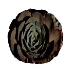 Succulent Green Pink Rosettes Standard 15  Premium Flano Round Cushions