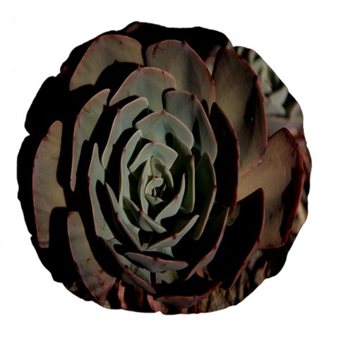 Succulent Green Pink Rosettes Large 18  Premium Flano Round Cushions from ArtsNow.com Front
