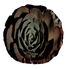 Succulent Green Pink Rosettes Large 18  Premium Flano Round Cushions from ArtsNow.com Back