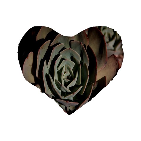 Succulent Green Pink Rosettes Standard 16  Premium Flano Heart Shape Cushions from ArtsNow.com Back