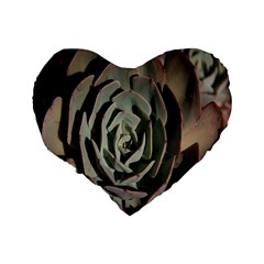 Succulent Green Pink Rosettes Standard 16  Premium Flano Heart Shape Cushions from ArtsNow.com Back