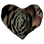 Succulent Green Pink Rosettes Large 19  Premium Flano Heart Shape Cushions