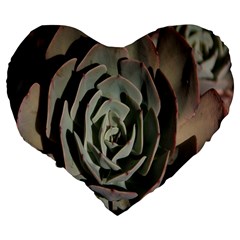 Succulent Green Pink Rosettes Large 19  Premium Flano Heart Shape Cushions from ArtsNow.com Back
