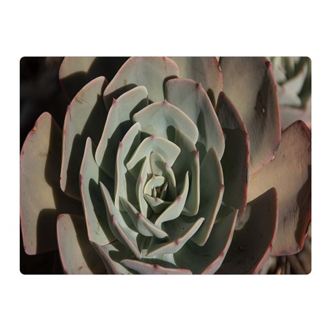 Succulent Green Pink Rosettes Double Sided Flano Blanket (Mini)  from ArtsNow.com 35 x27  Blanket Front
