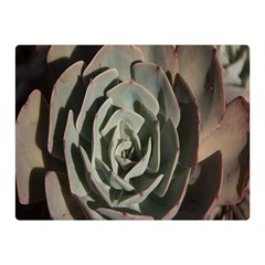 Succulent Green Pink Rosettes Double Sided Flano Blanket (Mini)  from ArtsNow.com 35 x27  Blanket Front