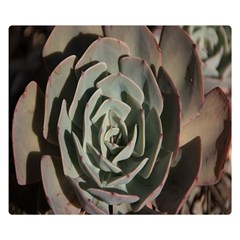 Succulent Green Pink Rosettes Double Sided Flano Blanket (Small)  from ArtsNow.com 50 x40  Blanket Back