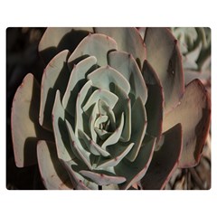 Succulent Green Pink Rosettes Double Sided Flano Blanket (Medium)  from ArtsNow.com 60 x50  Blanket Front