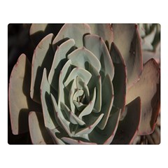 Succulent Green Pink Rosettes Double Sided Flano Blanket (Large)  from ArtsNow.com 80 x60  Blanket Front