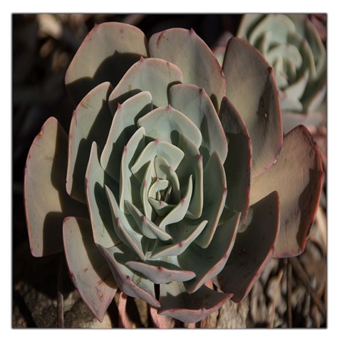 Succulent Green Pink Rosettes Large Satin Scarf (Square) from ArtsNow.com Front