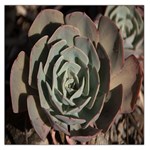 Succulent Green Pink Rosettes Large Satin Scarf (Square)