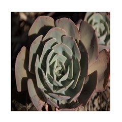 Succulent Green Pink Rosettes Duvet Cover Double Side (Full/ Double Size) from ArtsNow.com Back