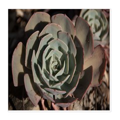 Succulent Green Pink Rosettes Duvet Cover Double Side (Queen Size) from ArtsNow.com Back