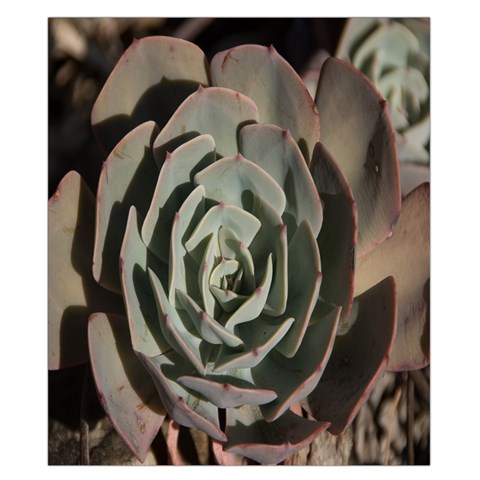 Succulent Green Pink Rosettes Duvet Cover Double Side (California King Size) from ArtsNow.com Front
