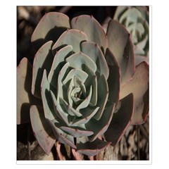 Succulent Green Pink Rosettes Duvet Cover Double Side (California King Size) from ArtsNow.com Back