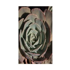 Succulent Green Pink Rosettes Duvet Cover Double Side (Single Size) from ArtsNow.com Front