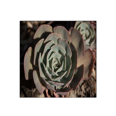 Succulent Green Pink Rosettes Satin Bandana Scarf from ArtsNow.com Front