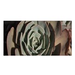 Succulent Green Pink Rosettes Satin Shawl