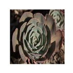 Succulent Green Pink Rosettes Small Satin Scarf (Square)