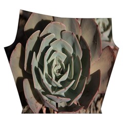 Succulent Green Pink Rosettes Yoga Cropped Leggings from ArtsNow.com Right