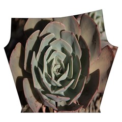 Succulent Green Pink Rosettes Yoga Cropped Leggings from ArtsNow.com Left