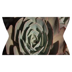 Succulent Green Pink Rosettes Yoga Cropped Leggings from ArtsNow.com Waistband Front