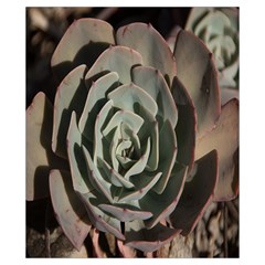 Succulent Green Pink Rosettes Drawstring Pouches (XS)  from ArtsNow.com Back