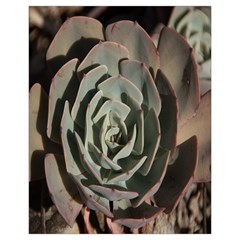 Succulent Green Pink Rosettes Drawstring Pouches (Extra Large) from ArtsNow.com Front